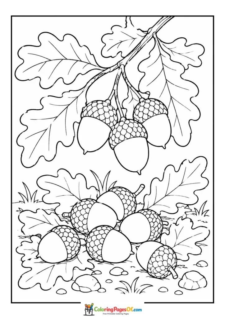 Fall coloring page featuring acorns and oak leaves
