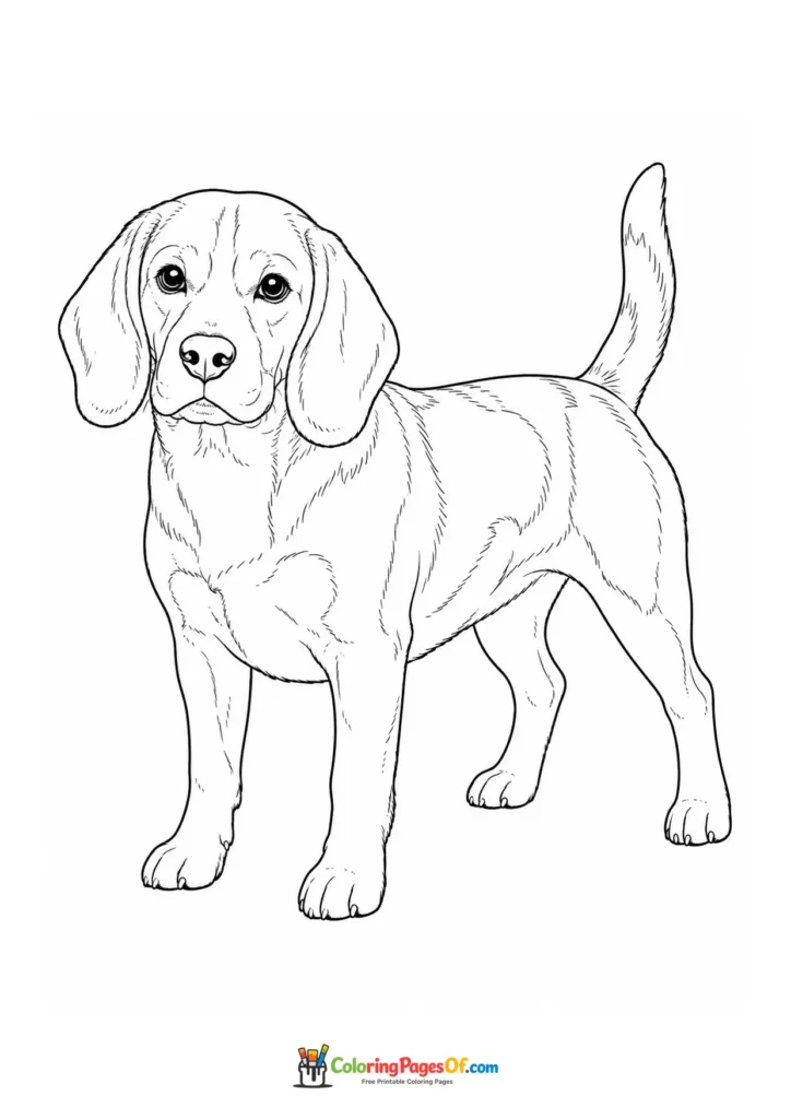Beagle coloring page