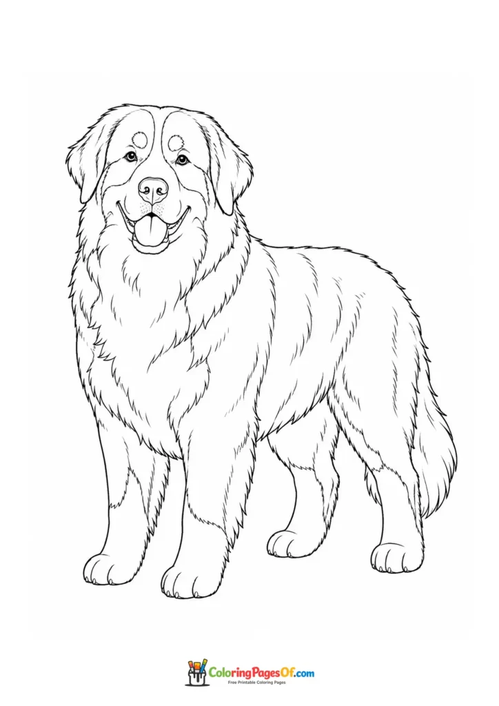 Bernese mountain dog coloring page