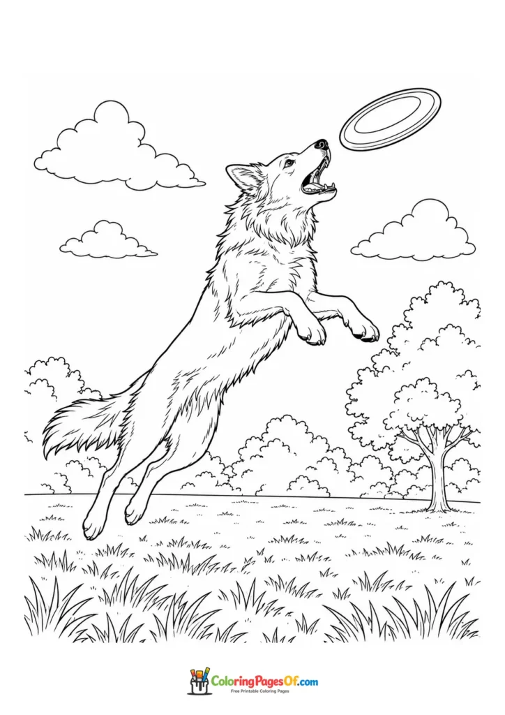 Border collie catching a frisbee coloring page
