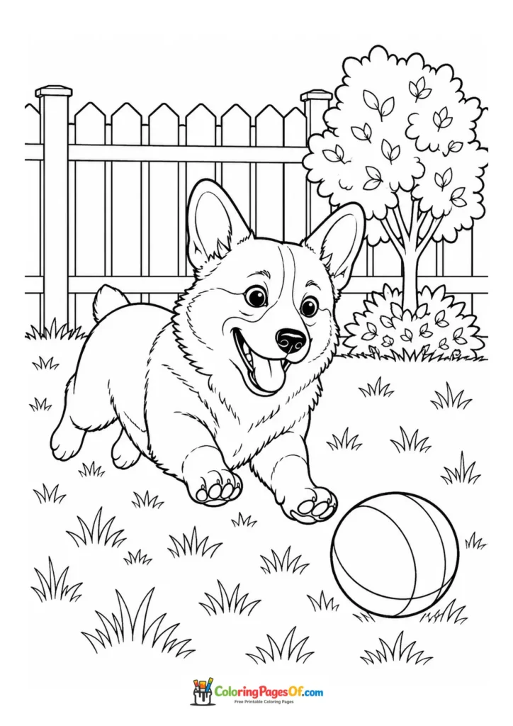 Corgi playing with a ball in the garden coloring page