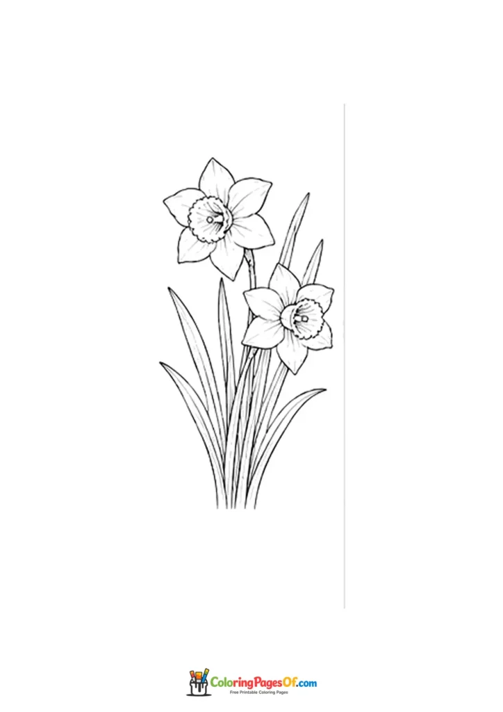 Two daffodil flowers with long narrow leaves coloring page