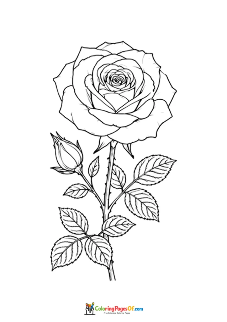 Flower Coloring Pages