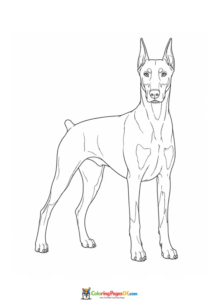 Doberman coloring page