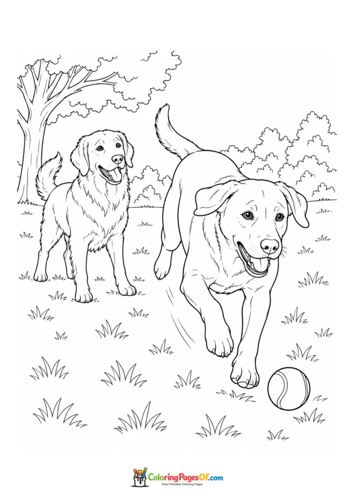 Dogs running after a ball in the park coloring page