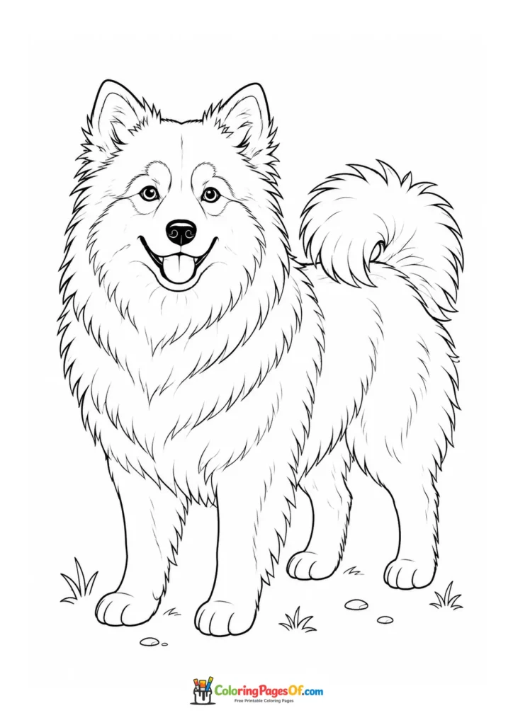 Finnish Lapphund coloring page