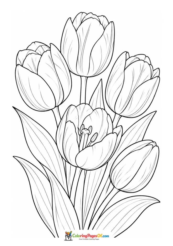 Five tulip flowers in a simple upright bouquet coloring page