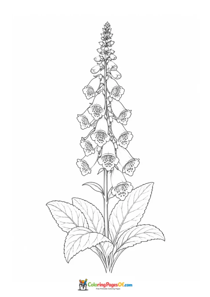 Tall foxglove spike with many spotted bell-shaped flowers coloring page