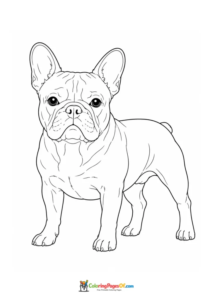 French bulldog coloring page