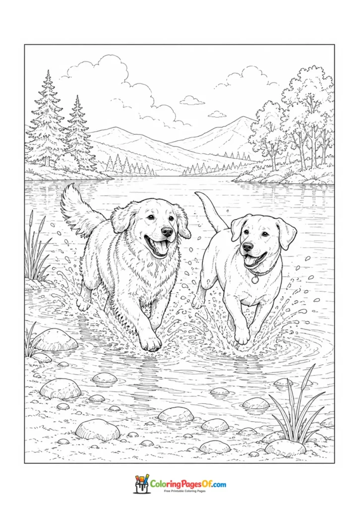 Golden retriever and Labrador running through shallow water coloring page