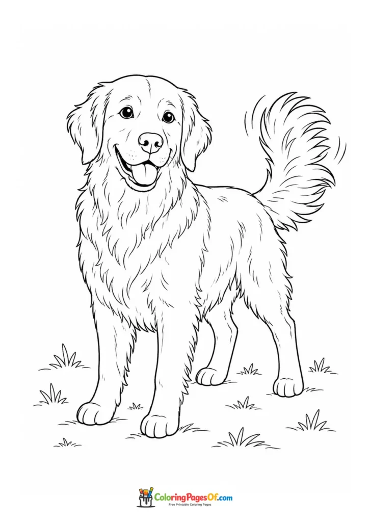 Golden retriever full body coloring page