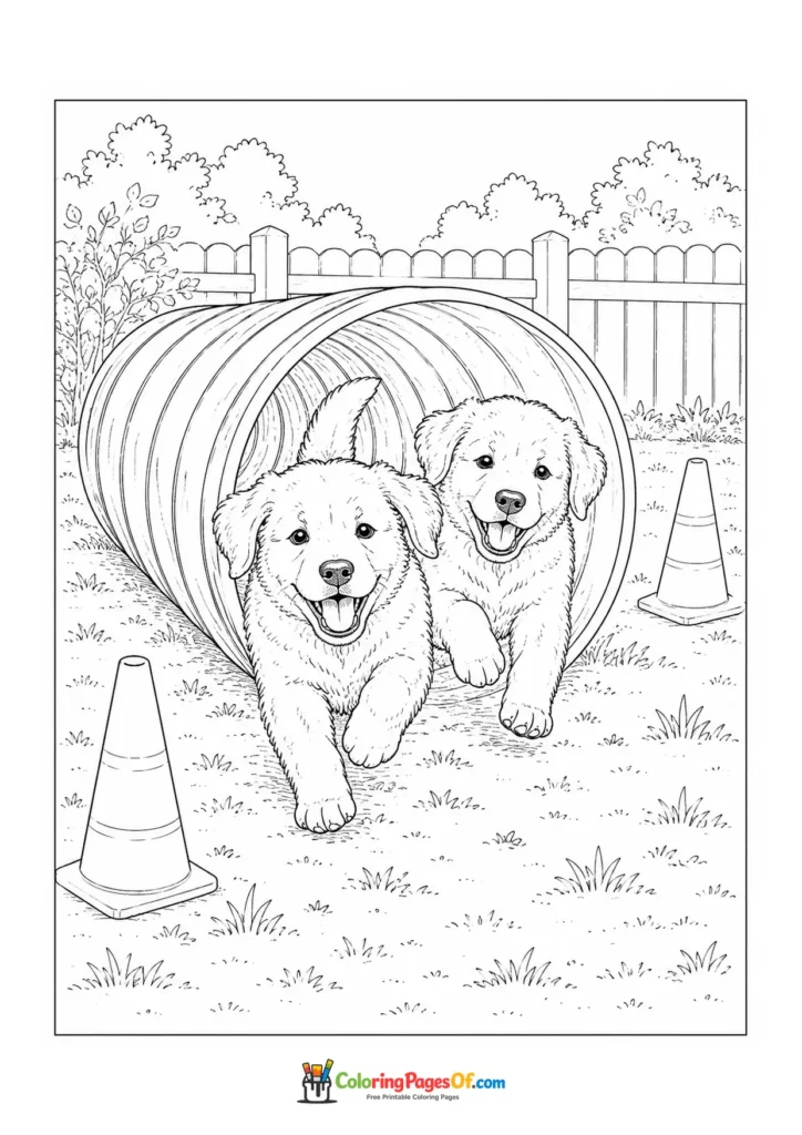 Golden retriever puppies running through an agility tunnel coloring page