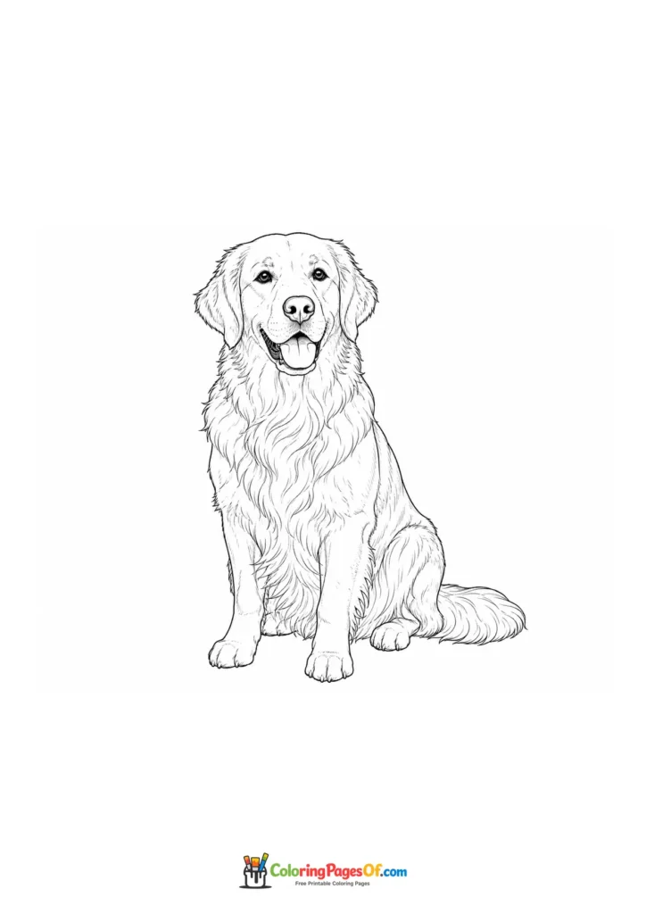 Sitting golden retriever coloring page