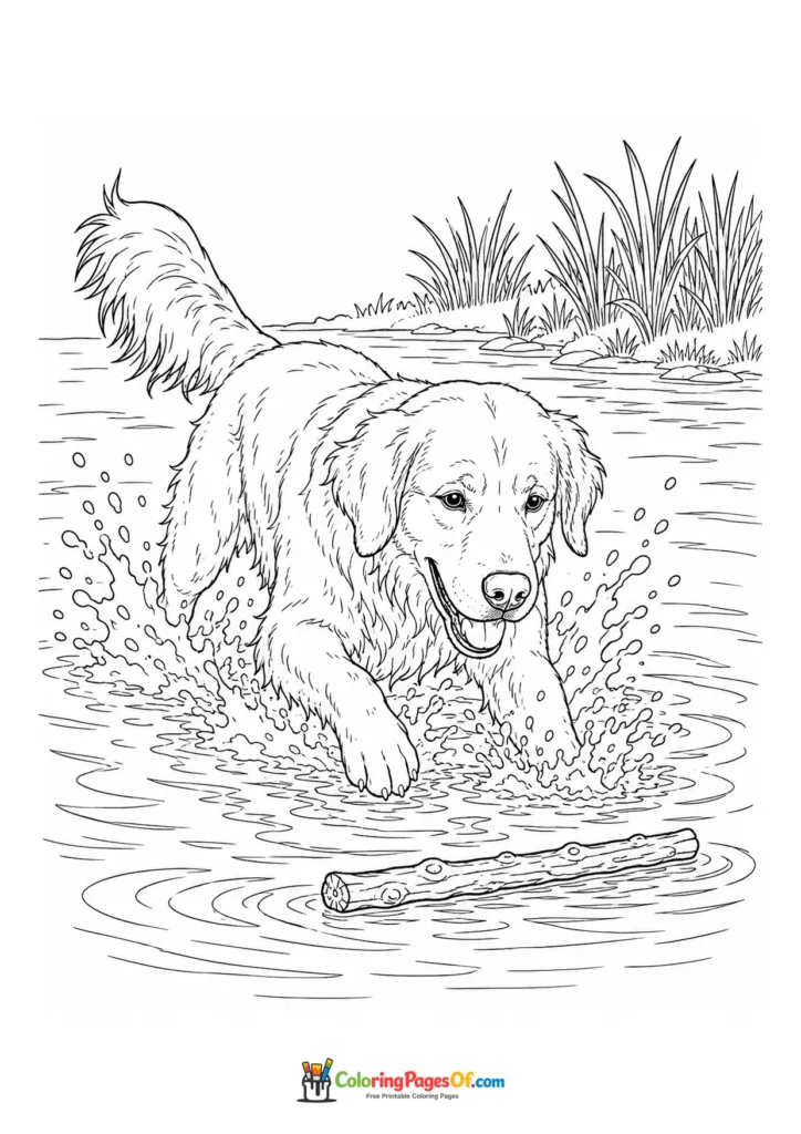 Golden retriever splashing in water with a stick coloring page
