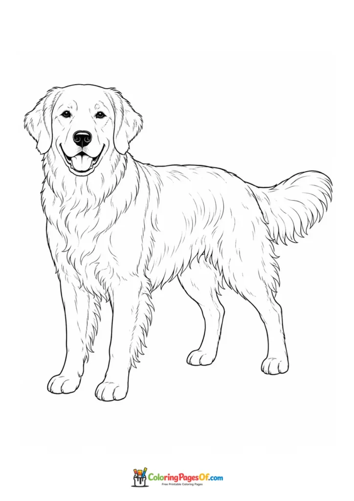 Happy golden retriever coloring page