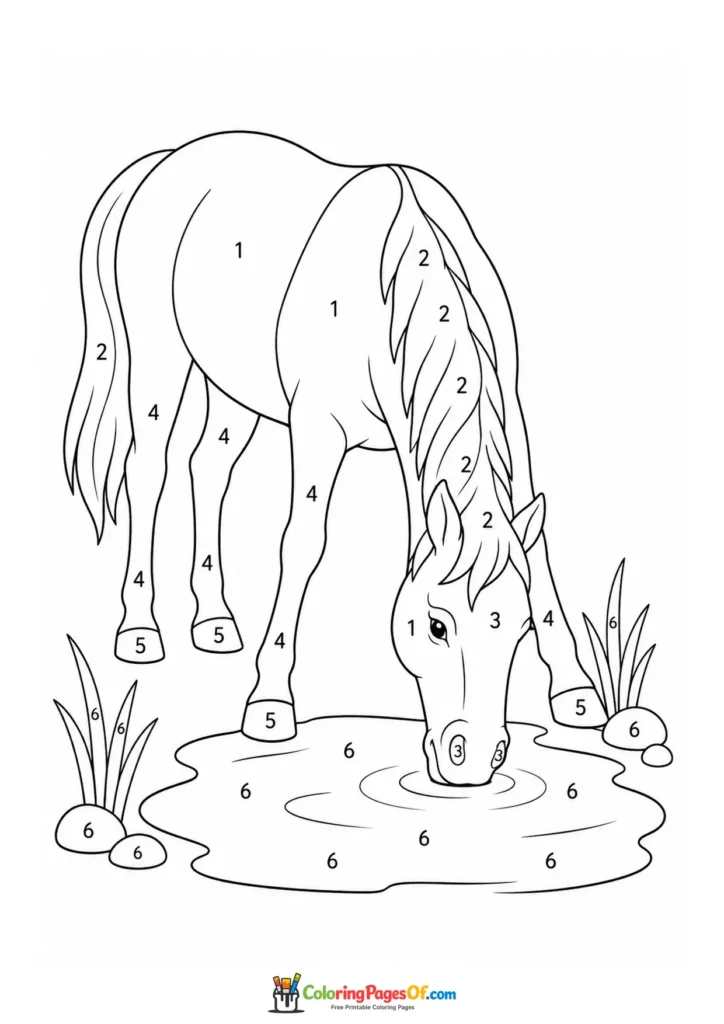 Horse drinking at a pond color by number