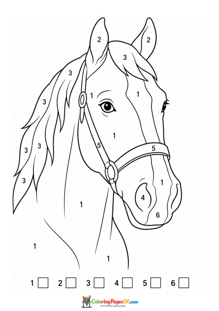 Horse head close-up color by number