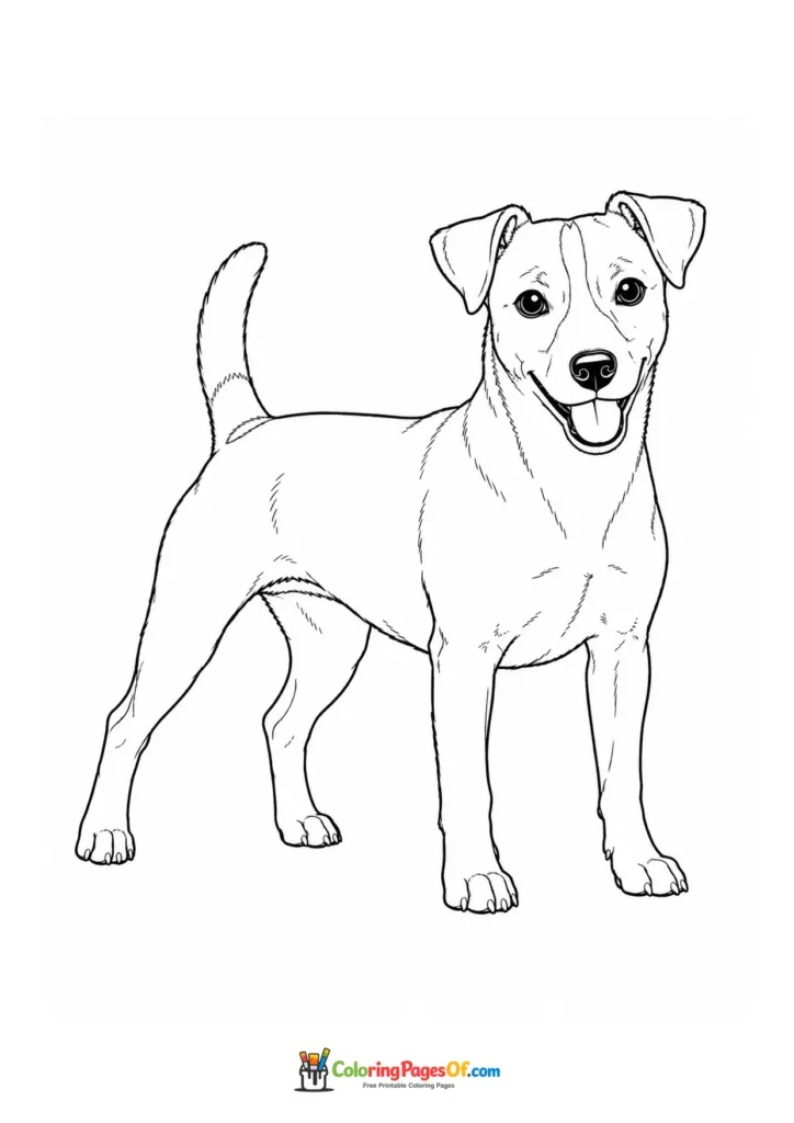 Jack Russell terrier coloring page