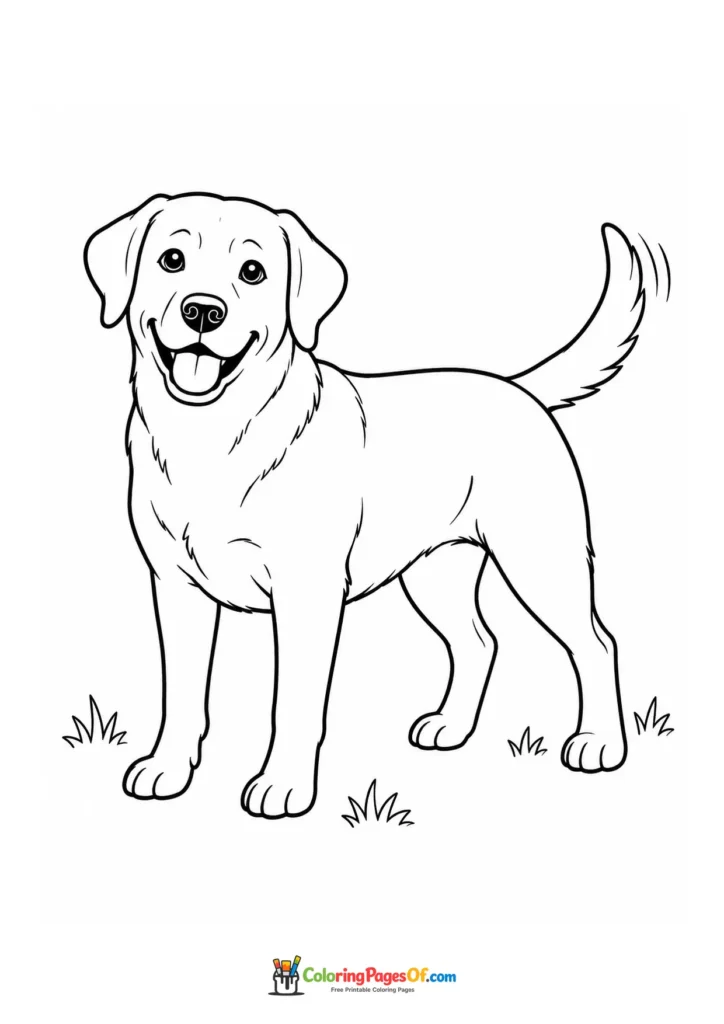 Labrador retriever full body coloring page