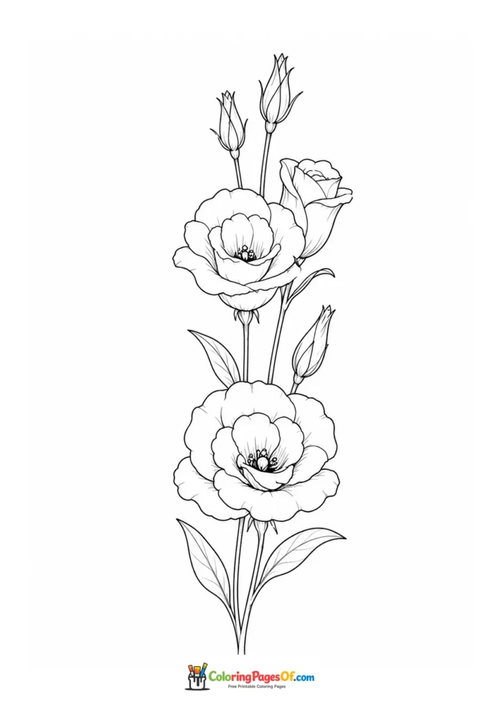 Two open lisianthus flowers with several tall buds coloring page
