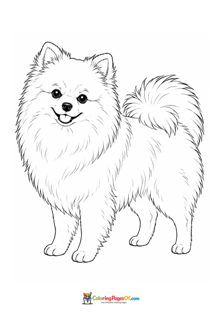 Pomeranian coloring page
