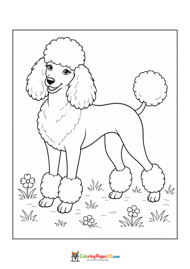 Poodle with pom-pom trim coloring page