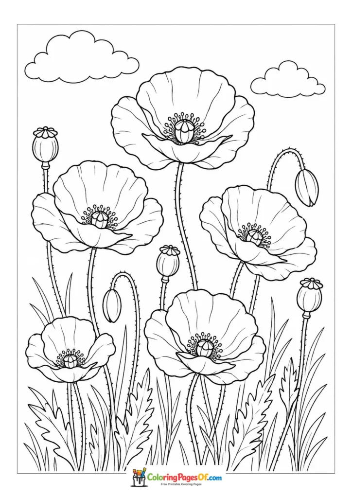 Tall poppies and seed pods growing in a field coloring page