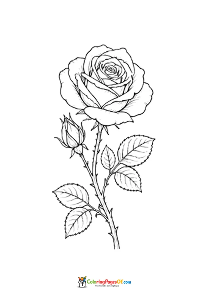 Rose flower on a stem with leaves and a bud coloring page