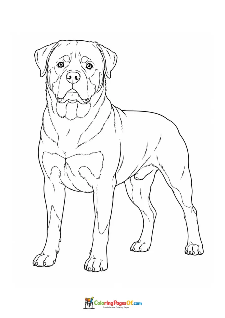 Rottweiler coloring page