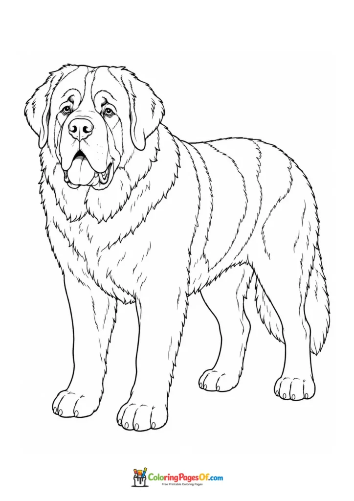 Saint Bernard coloring page