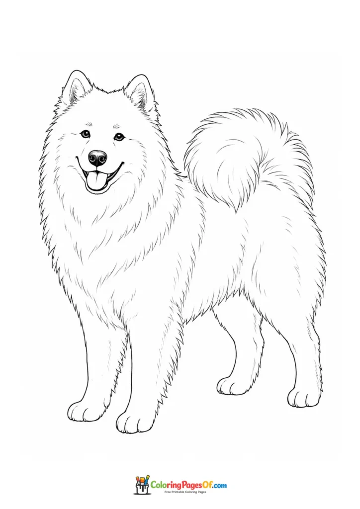 Samoyed coloring page