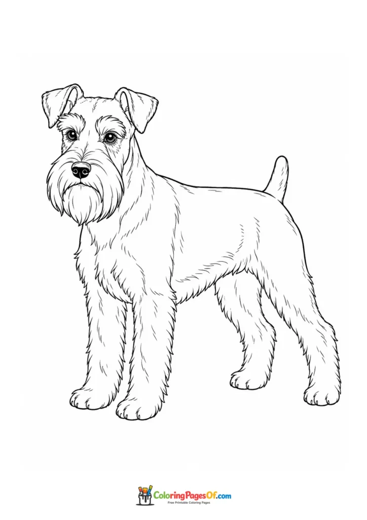 Schnauzer coloring page