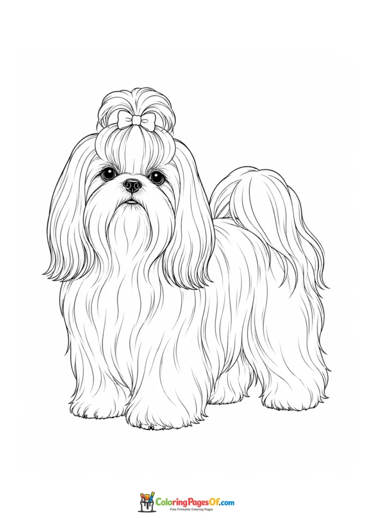 Shih Tzu coloring page