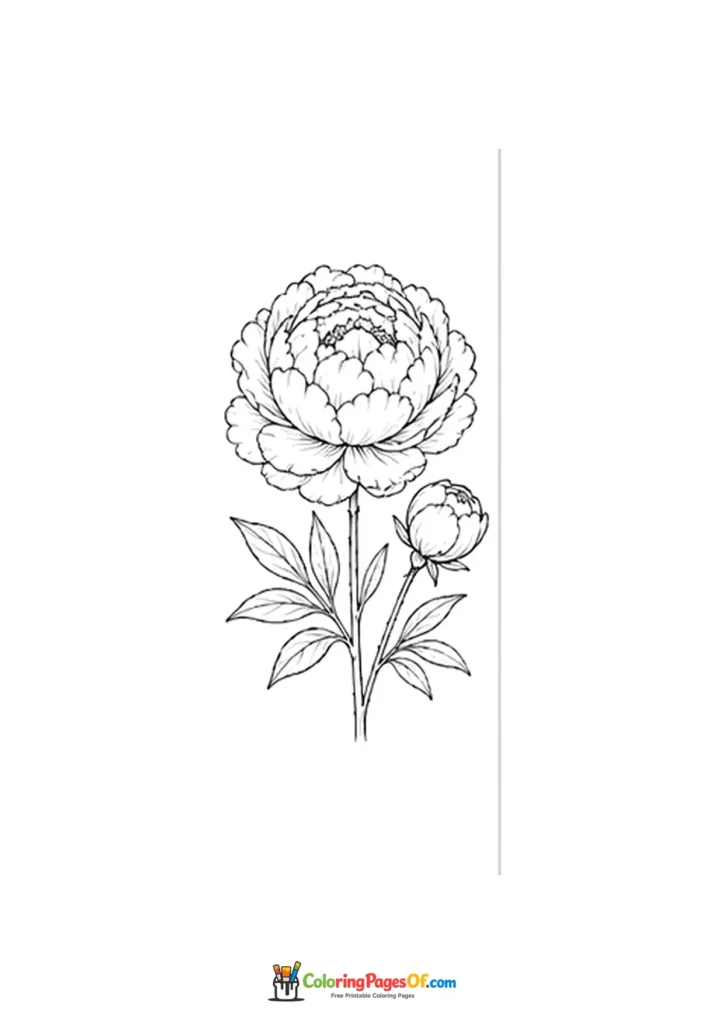 Simple peony flower with a small bud and leaves coloring page