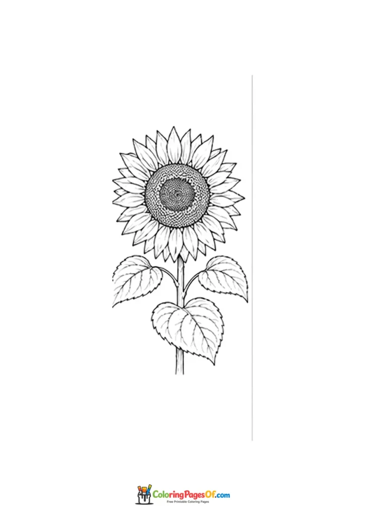 Single sunflower with two broad leaves coloring page