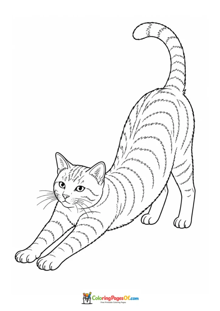 Stretching tabby cat with tail up – printable black and white coloring page