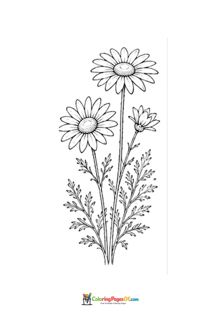 Three daisy flowers on tall stems coloring page