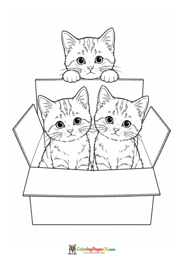 Three kittens in a box – printable black and white coloring page