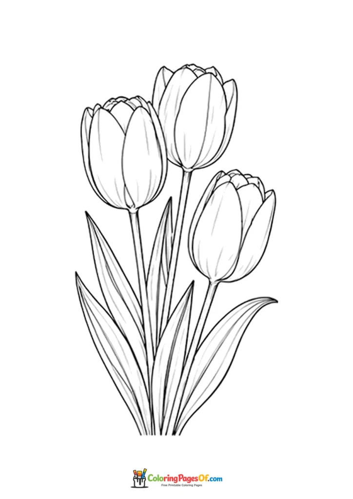 Bouquet of three open tulips with long leaves coloring page